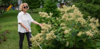 Prevarom šokirala sve: 28 godina se pravila da je slijepa iz bizarnog razloga - featured image