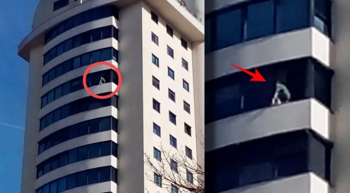 Opasan prizor iz Tuzle: Žena rizikovala život čisteći prozor na visokom spratu zgrade bez zaštite Opasan prizor iz Tuzle: Žena rizikovala život čisteći prozor na visokom spratu zgrade bez zaštite - featured image