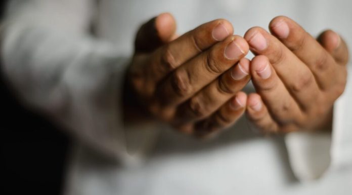 Naučimo tri kratke, korisne dove! – N-UM.com Naučimo tri kratke, korisne dove! - N-UM.com - featured image