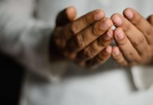 Naučimo tri kratke, korisne dove! – N-UM.com Naučimo tri kratke, korisne dove! - N-UM.com - featured image