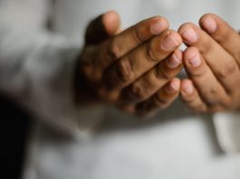 Naučimo tri kratke, korisne dove! - N-UM.com - featured image