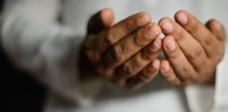 Naučimo tri kratke, korisne dove! - N-UM.com - featured image