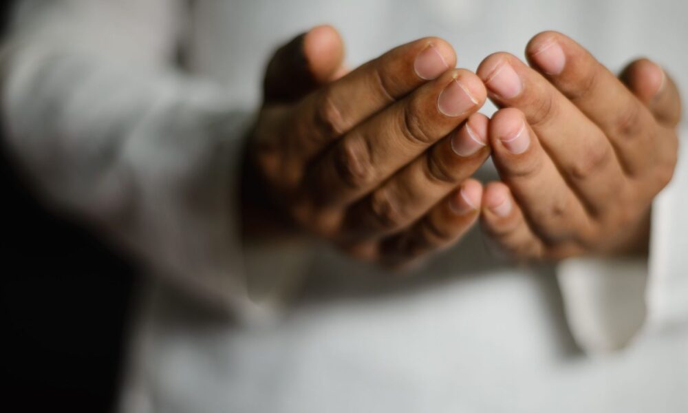 Naučimo tri kratke, korisne dove! - N-UM.com - featured image Naučimo tri kratke, korisne dove! - N-UM.com - featured image