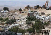 Izraelski rat protiv djece, biljaka i tla Izraelski rat protiv djece, biljaka i tla - featured image