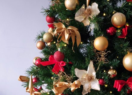 Nemojmo puno grditi našu djecu ako im se sviđaju ukrasi