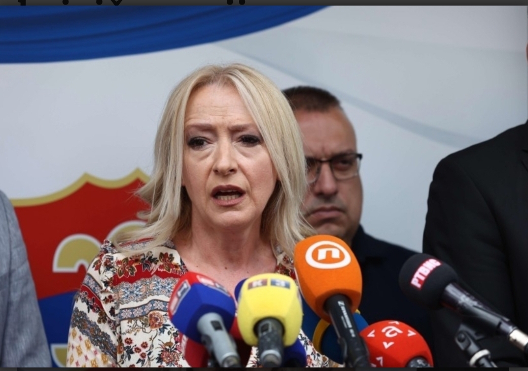 KO JE MANIPULISAO IZBORIMA: Pandurević objavila koga SDS tereti krivičnim prijavama - featured image