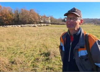 Halir iz Zenice otišao u Široki da čuva ovce: Ispod 2.000 KM se ne isplati