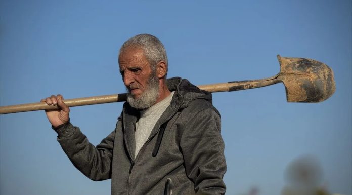 Potresna priÄa o grobaru iz Gaze: Od oktobra 2023. godine sahranio izmeÄu 17.000 i 18.000 ljudi Potresna priÄa o grobaru iz Gaze: Od oktobra 2023. godine sahranio izmeÄu 17.000 i 18.000 ljudi - featured image