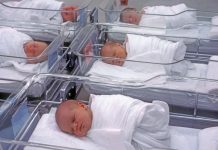 BiH među top 10 zemalja s najboljim porodiljskim odsustvom u svijetu BiH među top 10 zemalja s najboljim porodiljskim odsustvom u svijetu - featured image