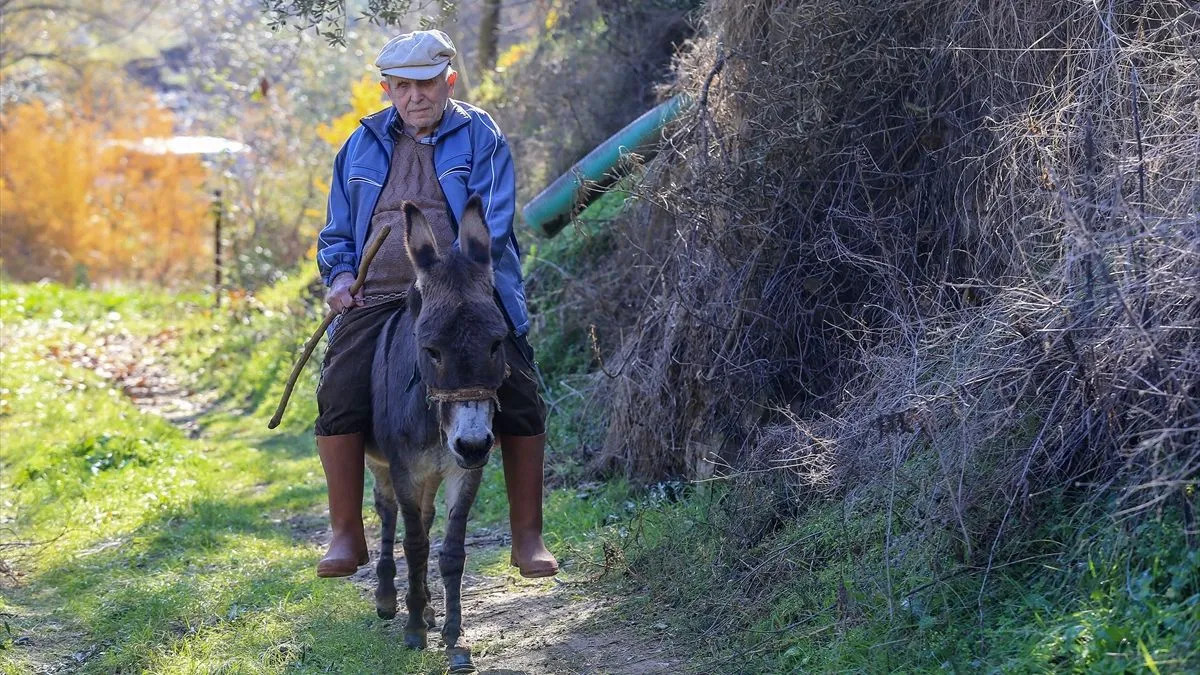 Slijepi djed Raif već 24 godine se kreće zahvaljujući svom magarcu: Postao je moje oči i uši - featured image Slijepi djed Raif već 24 godine se kreće zahvaljujući svom magarcu: Postao je moje oči i uši - featured image