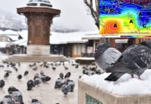 Meteorolog kojeg prati cijela regija objavio prognozu: Da li nas u januaru čeka jače zahlađenje? Meteorolog kojeg prati cijela regija objavio prognozu: Da li nas u januaru čeka jače zahlađenje? - featured image