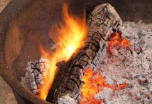 Ne bacajte pepeo iz peći: U vrtu može biti zlata vrijedan Ne bacajte pepeo iz peći: U vrtu može biti zlata vrijedan - featured image