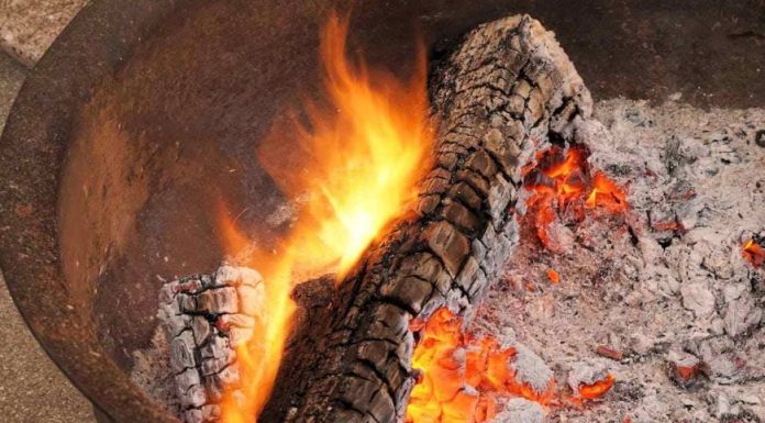 Ne bacajte pepeo iz peći: U vrtu može biti zlata vrijedan Ne bacajte pepeo iz peći: U vrtu može biti zlata vrijedan - featured image