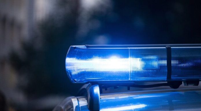 Žestoka tučnjava bivše snahe i svekrve: Policija imala pune ruke posla Žestoka tučnjava bivše snahe i svekrve: Policija imala pune ruke posla - featured image