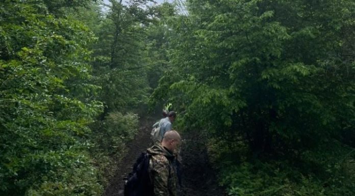 Uznemirujuće otkriće u šumi pored Olova: Policija pokrenula istragu Uznemirujuće otkriće u šumi pored Olova: Policija pokrenula istragu - featured image