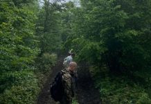 Uznemirujuće otkriće u šumi pored Olova: Policija pokrenula istragu Uznemirujuće otkriće u šumi pored Olova: Policija pokrenula istragu - featured image