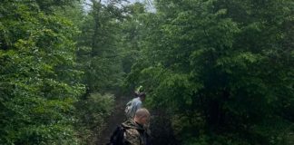 Uznemirujuće otkriće u šumi pored Olova: Policija pokrenula istragu - featured image