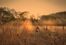 Varanje supružnika – N-UM.com Varanje supružnika - N-UM.com - featured image