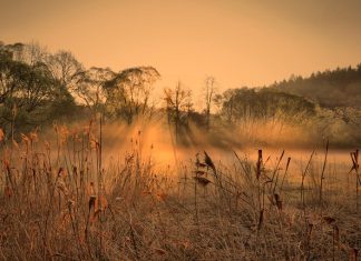 Varanje supružnika – N-UM.com Varanje supružnika - N-UM.com - featured image