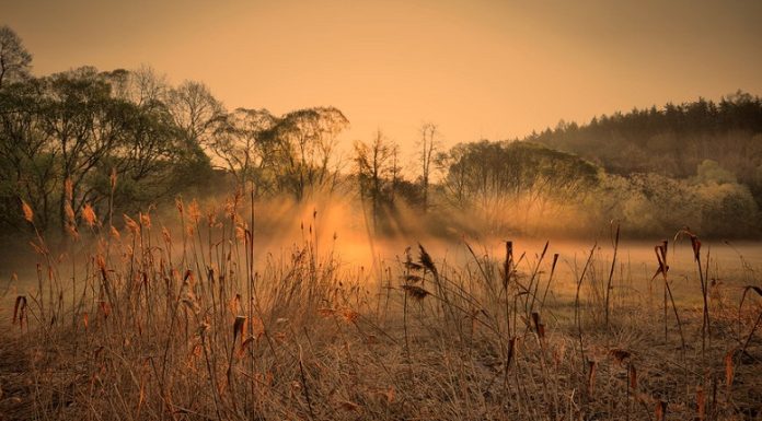 Varanje supružnika – N-UM.com Varanje supružnika - N-UM.com - featured image