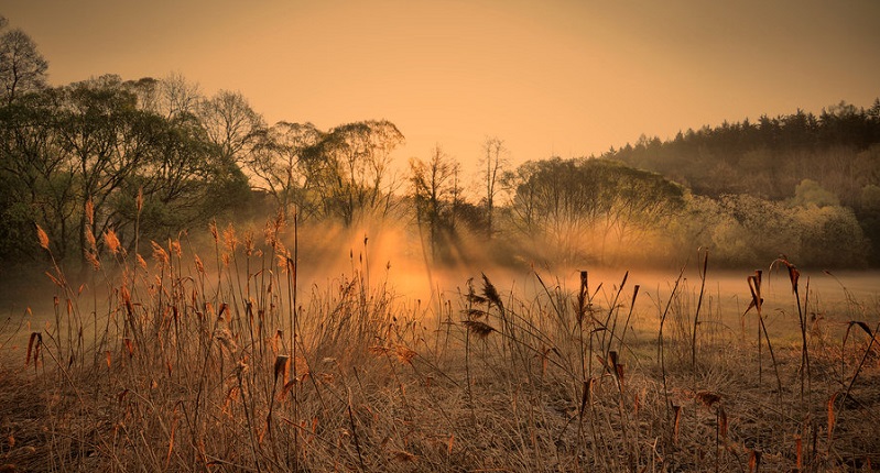 Varanje supružnika - N-UM.com - featured image