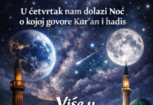 Ove dove učite! U četvrtak 15.1. je noć o kojoj govore Kur’an i Hadis, pa podijelite i zaradite sevap!