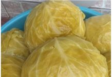 Nl SLUČAJNO NEM0JTE JESTI KlSELI KUPUS AK0 B0LUJETE 0D 0VE B0LESTl! Nl SLUČAJNO NEM0JTE JESTI KlSELI KUPUS AK0 B0LUJETE 0D 0VE B0LESTl! - featured image