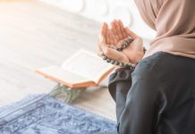 DOVA KOJA VAM MOŽE PROMJENITI ŽIVOT, PROUČITE JE NOĆAS DOVA KOJA VAM MOŽE PROMJENITI ŽIVOT, PROUČITE JE NOĆAS - featured image