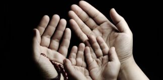 DOVA ZA SLOGU I LJUBAV U VAŠOJ PORODICI DOVA ZA SLOGU I LJUBAV U VAŠOJ PORODICI - featured image