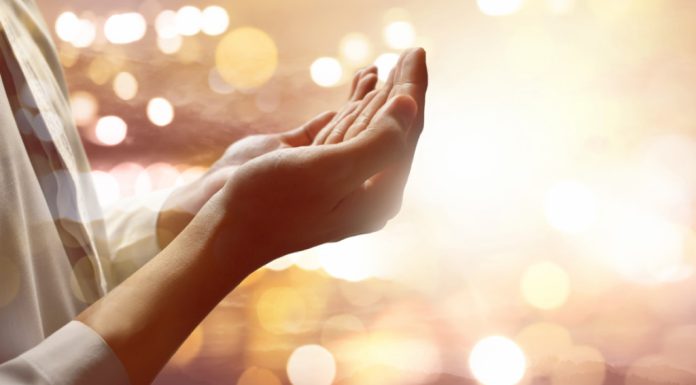 10 kratkih dova koje možeš učiti svakog dana (i njihova značenja) 10 kratkih dova koje možeš učiti svakog dana (i njihova značenja) - featured image