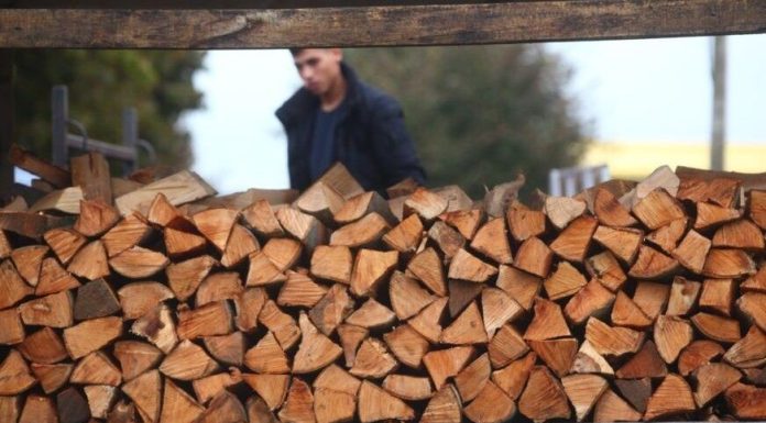 Hit fotografija: Lopovi mu krali drva, a on im ostavio poruku koju će dugo pamtiti! Hit fotografija: Lopovi mu krali drva, a on im ostavio poruku koju će dugo pamtiti! - featured image