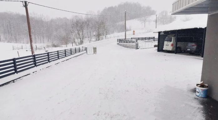 Kemal se probudio i nije mogao vjerovati: Neko mu očistio dvorište od snijega dok je spavao Kemal se probudio i nije mogao vjerovati: Neko mu očistio dvorište od snijega dok je spavao - featured image