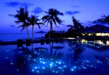 Kako do kuće u Džennetu Kako do kuće u Džennetu - featured image