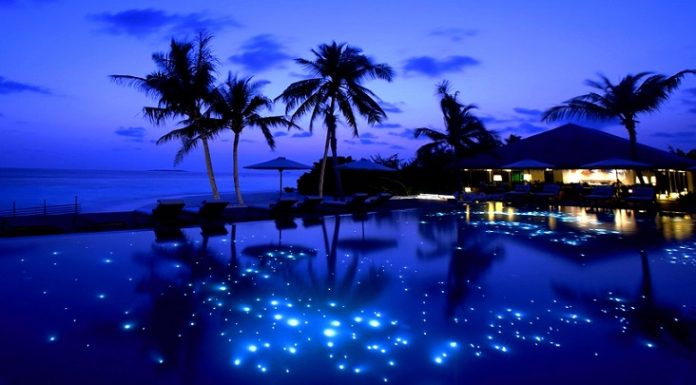 Kako do kuće u Džennetu Kako do kuće u Džennetu - featured image