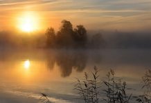 Simptomi džinskog djelovanja – Savjeti oboljelom Simptomi džinskog djelovanja – Savjeti oboljelom - featured image