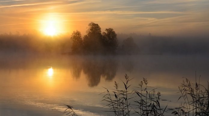 Simptomi džinskog djelovanja – Savjeti oboljelom Simptomi džinskog djelovanja – Savjeti oboljelom - featured image