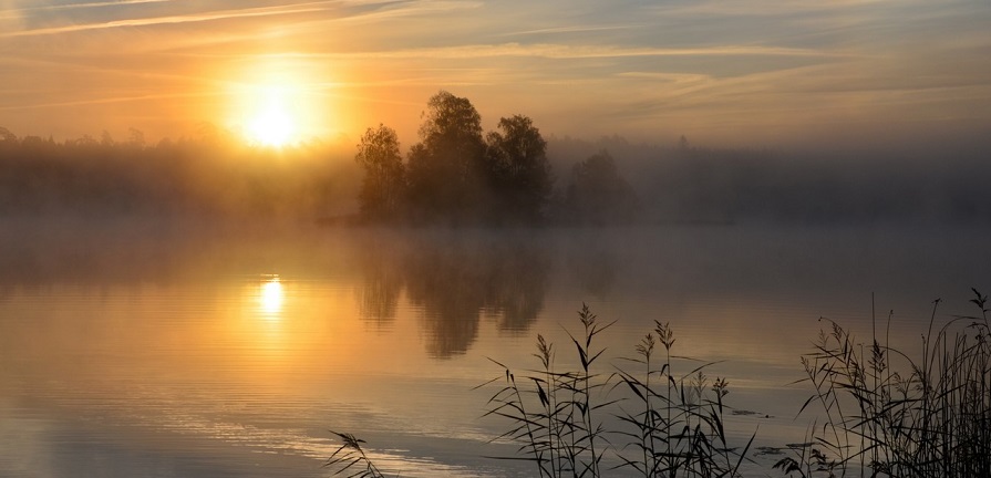 Simptomi džinskog djelovanja – Savjeti oboljelom - featured image Simptomi džinskog djelovanja – Savjeti oboljelom - featured image