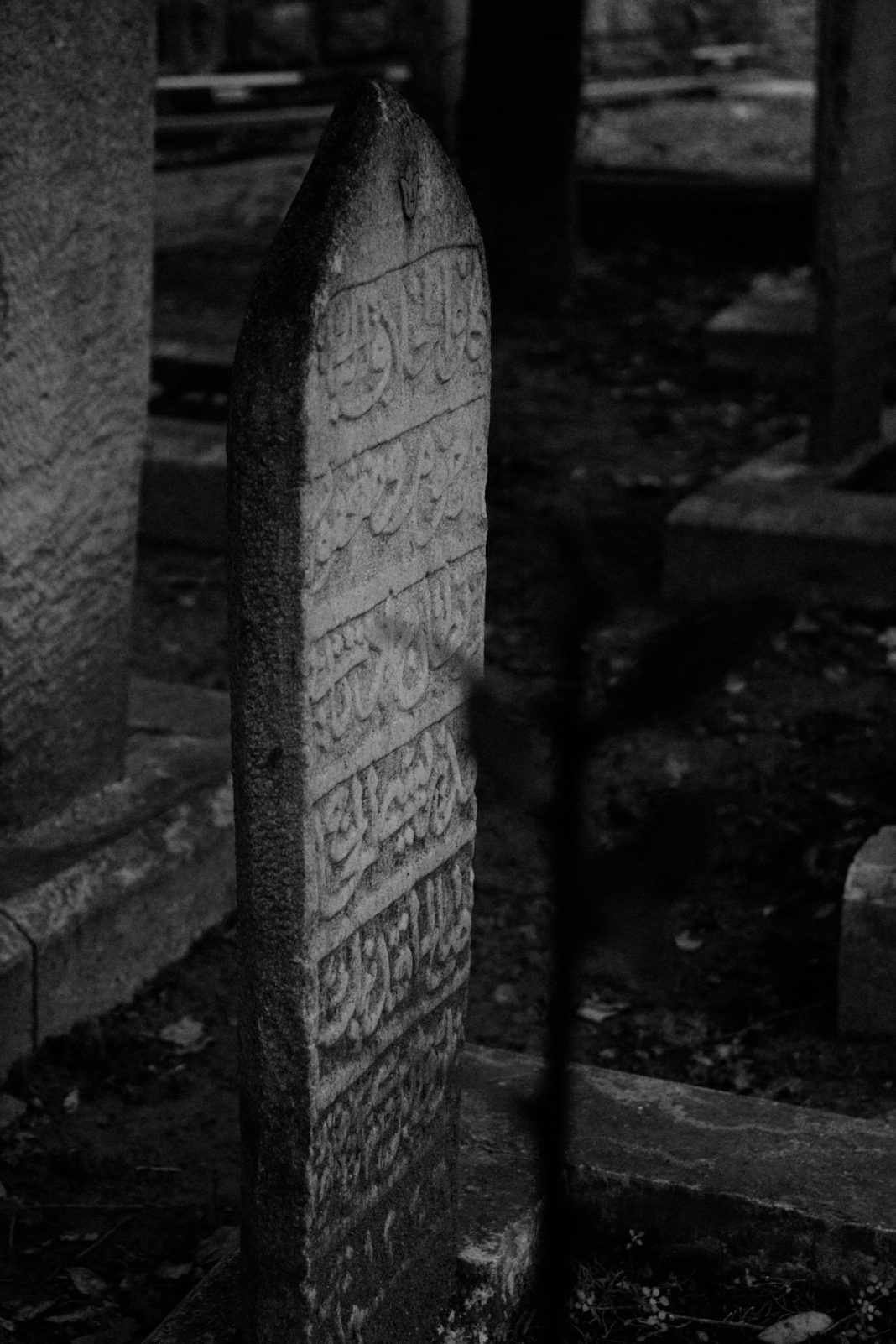 Kome davati dobrovoljne priloge i sadaku za naše umrle? - featured image Kome davati dobrovoljne priloge i sadaku za naše umrle? - featured image