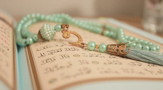 Donošenje salavata na Poslanika a.s. Donošenje salavata na Poslanika a.s. - featured image