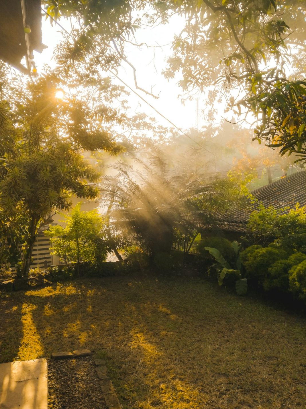 Šta je nafaka? - featured image
