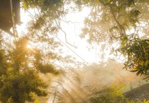 Šta je nafaka? Šta je nafaka? - featured image