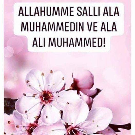 Stalno učenje salavata otklanja teret, liječi tugu i otvara vrata opskrbe - featured image