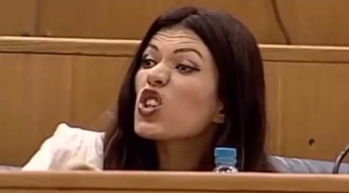 Krava ne zna za praznike i za nedjelje: Mljekari bijesni na Sanju Vulić, pitali je za njenu plaću Krava ne zna za praznike i za nedjelje: Mljekari bijesni na Sanju Vulić, pitali je za njenu plaću - featured image