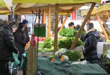 Imam osjećaj da januar traje 90 dana! Tužna svakodnevica bh. građana Imam osjećaj da januar traje 90 dana! Tužna svakodnevica bh. građana - featured image