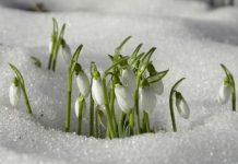 Kad ‘udara’ prvo džemre, potom još dva i šta donose Kad 'udara' prvo džemre, potom još dva i šta donose - featured image