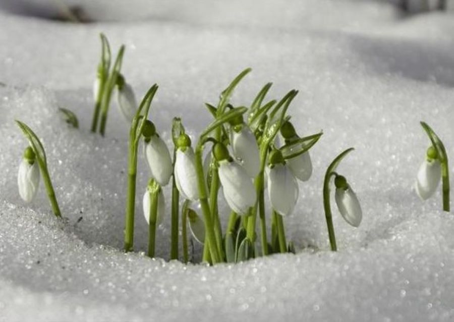 Kad 'udara' prvo džemre, potom još dva i šta donose - featured image