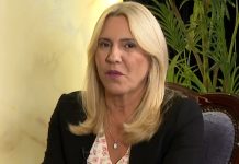 Neka te bude sram i stid, sutra ti ide tužba! Izjave Cvijanović izazvale burne reakcije Neka te bude sram i stid, sutra ti ide tužba! Izjave Cvijanović izazvale burne reakcije - featured image