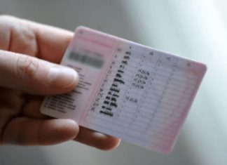 Više od 5.300 vozača u BiH ostalo bez vozačke dozvole: Gotovo 90 posto su muškarci Više od 5.300 vozača u BiH ostalo bez vozačke dozvole: Gotovo 90 posto su muškarci - featured image