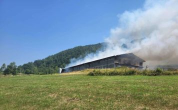 Zapaljena farma povratnika u Srebrenici Zapaljena farma povratnika u Srebrenici - featured image