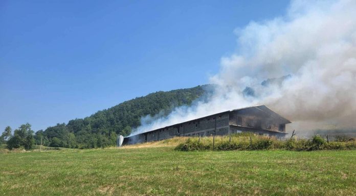 Zapaljena farma povratnika u Srebrenici Zapaljena farma povratnika u Srebrenici - featured image